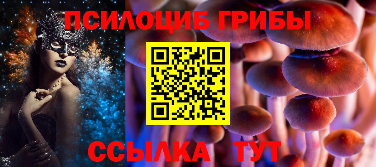 Галлюциногенные грибы MAGIC MUSHROOMS Усть-Илимск